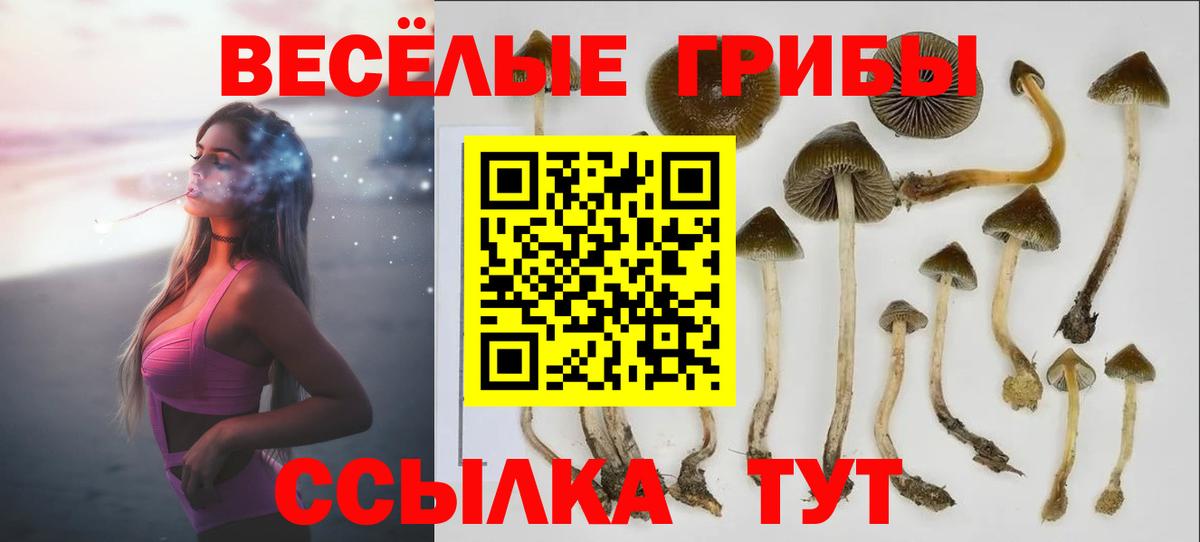 Ярцево  Галлюциногенные грибы Psilocybine cubensis  Псилоцибиновые грибы мицелий  Вход с VPN 
